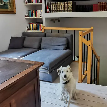 Novelli Con Piscina E Ampio Giardino Villa *